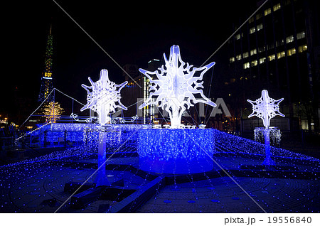 さっぽろホワイトイルミネーション2015 19556840