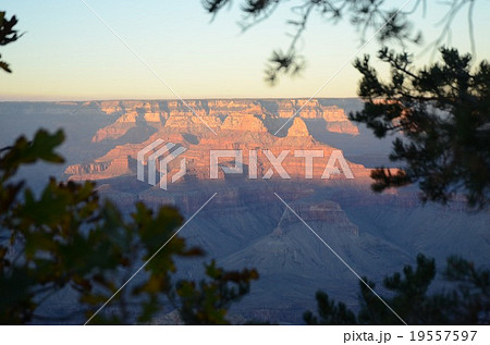 グランドキャニオンの夕暮れ グランドキャニオンの夕暮れ 19557597