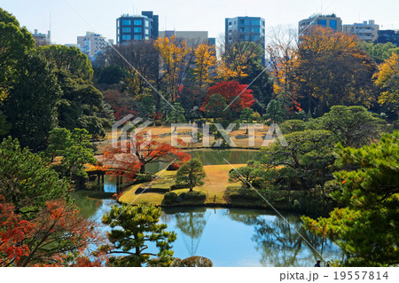 六義園の紅葉と湖面に映える景観 六義園の紅葉と湖面に映える景観 19557814