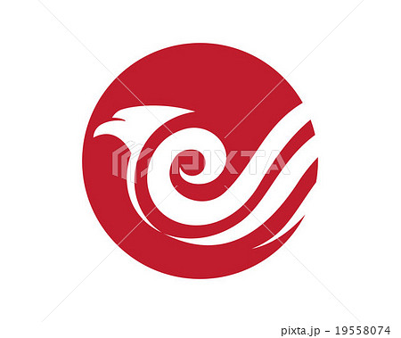 Falcon Bird  Logo Template Vector 19558074