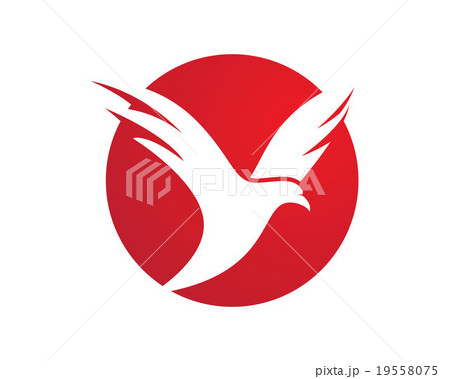 Falcon Bird  Logo Template Vector 19558075