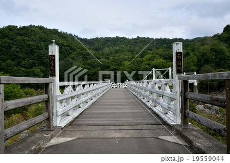 石狩川 神居大橋 石狩川 神居大橋 19559044