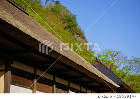 白石市材木岩検断屋敷木村家の茅葺屋根寄棟造軒先と春の新緑 19559147