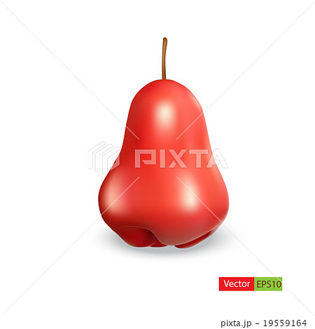 Rose Apple isolated on white background. 19559164