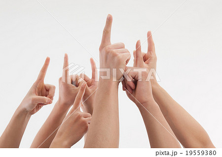 腕 ボディーパーツ 指差し 腕 ボディーパーツ 指差し 19559380