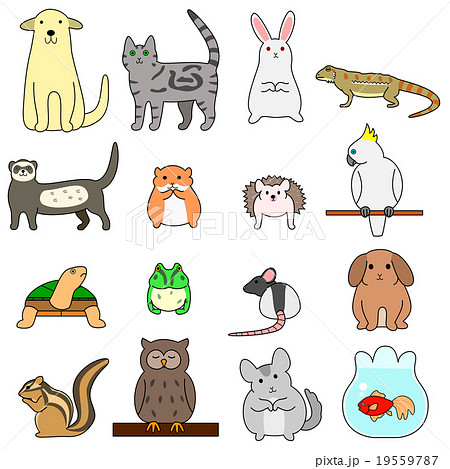 ペット いろいろのイラスト素材 [19559787] - PIXTA