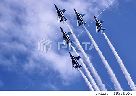 ブルーインパルス編隊飛行 ブルーインパルス編隊飛行 19559956