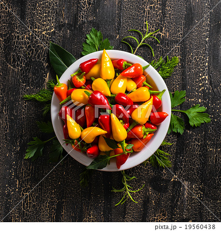 top view of plate with red and yellow peppers top view of plate with red and yellow peppers 19560438