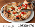 ピッツァ 19560470