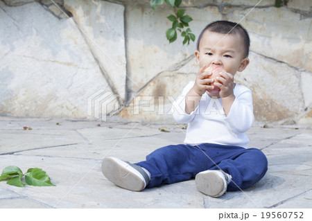 Cute Chinese baby boy eating an apple Cute Chinese baby boy eating an apple 19560752