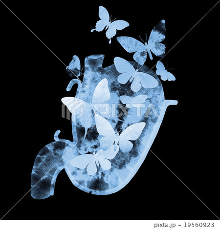 Watercolor X-rays of butterflies in the stomach Watercolor X-rays of butterflies in the stomach 19560923