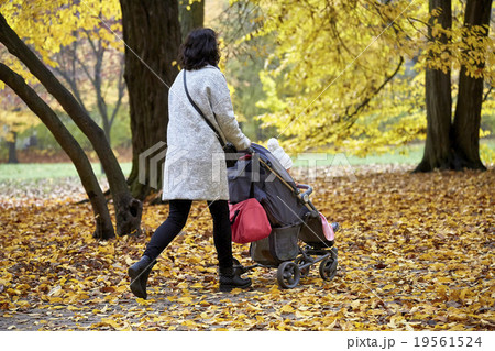 woman with pram in autumnal park woman with pram in autumnal park 19561524