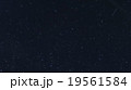 星 19561584