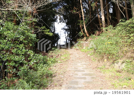 長崎街道の写真 長崎街道の写真 19561901