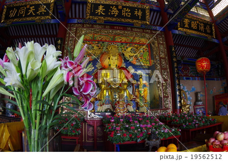 中国　深セン　南山赤湾の媽祖廟　「赤湾天后宮」　供花と本堂媽祖像　海の女神　航海と漁業の神様 19562512