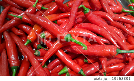 Red Chillies Background,Selective focus Red Chillies Background,Selective focus 19562801