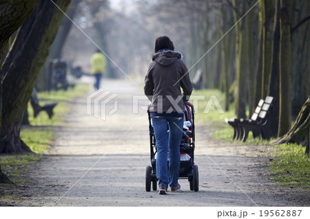 woman with pram in autumnal park woman with pram in autumnal park 19562887