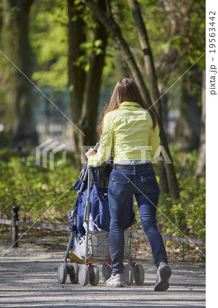 woman with pram in autumnal park 19563442