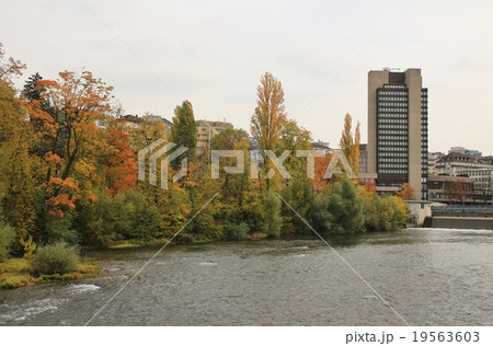 Colorful trees on the shore of the Limmat Colorful trees on the shore of the Limmat 19563603