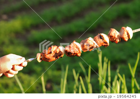 The hand holds a barbecue against a grass The hand holds a barbecue against a grass 19564245