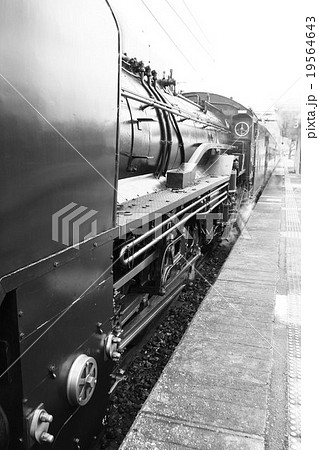 蒸気機関車 C61-20 蒸気機関車 C61-20 19564643