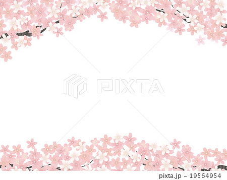 桜並木 桜並木 19564954