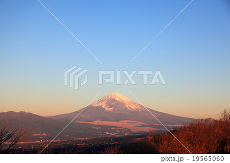 初富士 2016元旦 初富士 2016元旦 19565060