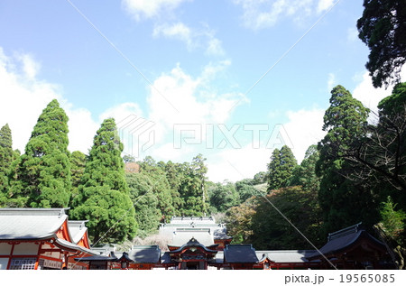 鳥居_霧島神宮 19565085