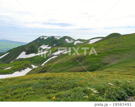 鳥海山 山形 鳥海山 山形 19565491