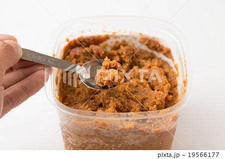 味噌 19566177