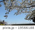 桜０７ 19566188
