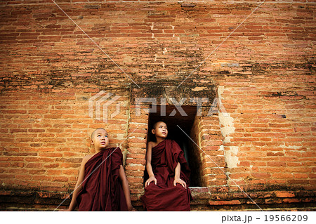 Buddhist novices 19566209