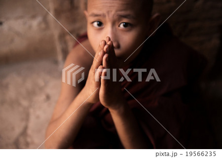 Buddhist novice monks praying 19566235