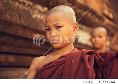 Buddhist novice monks walking morning alms Buddhist novice monks walking morning alms 19566288