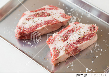 イベリコ豚 イベリコ豚 19566474