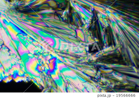 ビタミンCの結晶 ビタミンCの結晶 19566666