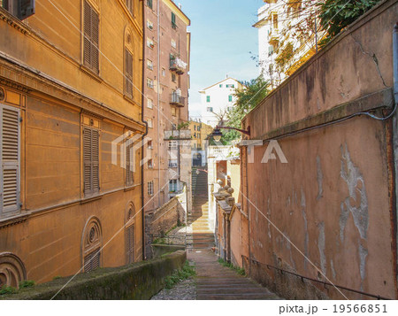 Genoa old town 19566851