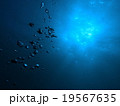 大島２ 19567635