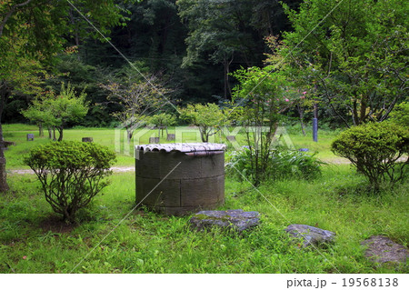 古井戸 19568138