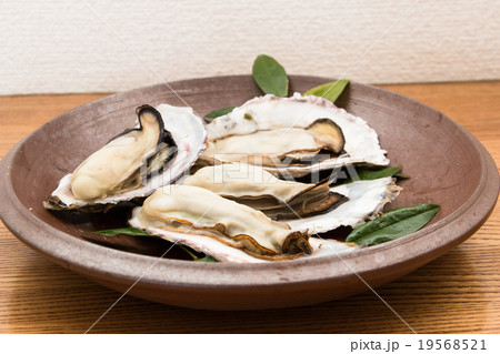 備前焼と牡蠣 備前焼と牡蠣 19568521