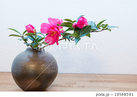 備前焼の花瓶 19568591