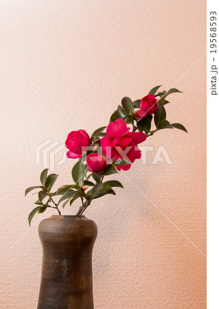 備前焼の花瓶 19568593