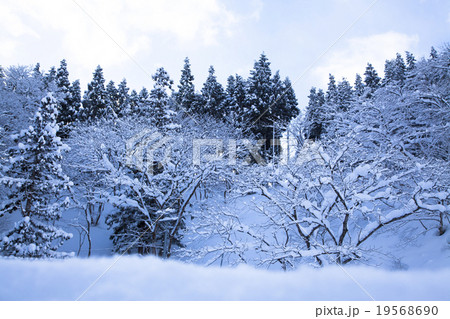 白川郷　雪景色 19568690