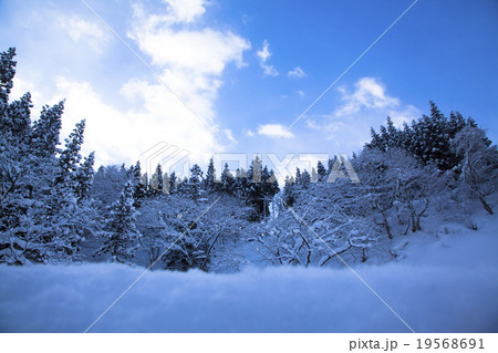 白川郷 雪景色 白川郷 雪景色 19568691