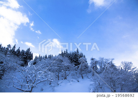 白川郷　雪景色 19568692