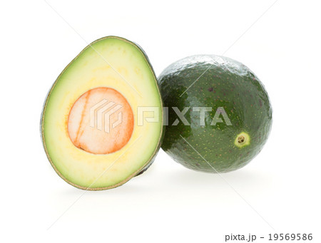 avocado green fruit isolated white background avocado green fruit isolated white background 19569586