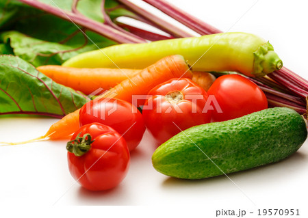 Set of fresh vegetables 19570951