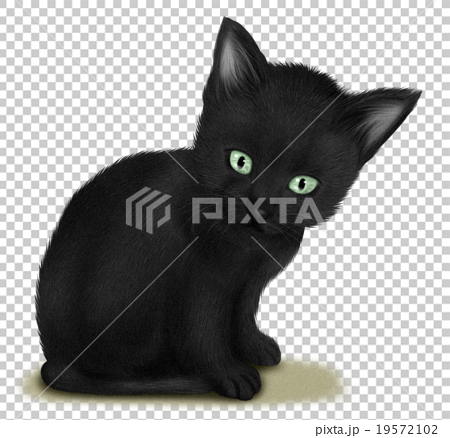 リアルな黒猫イラストのイラスト素材