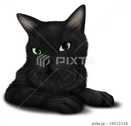 リアルな黒猫イラストのイラスト素材 19572139 Pixta