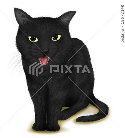 リアルな黒猫イラストのイラスト素材 19572140 Pixta
